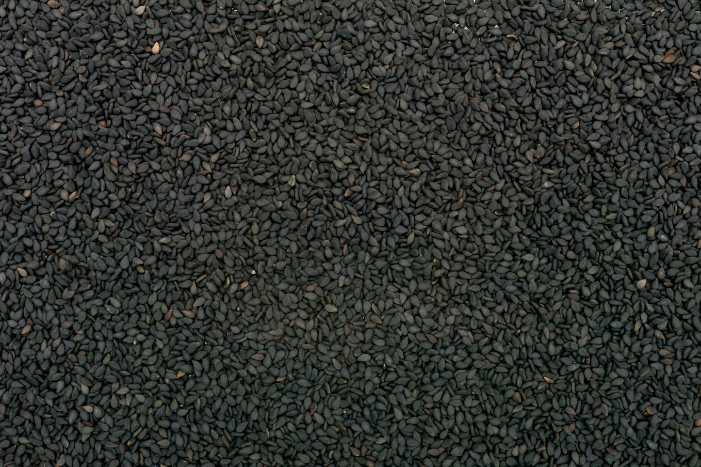 Black Natural Sesame Seed
