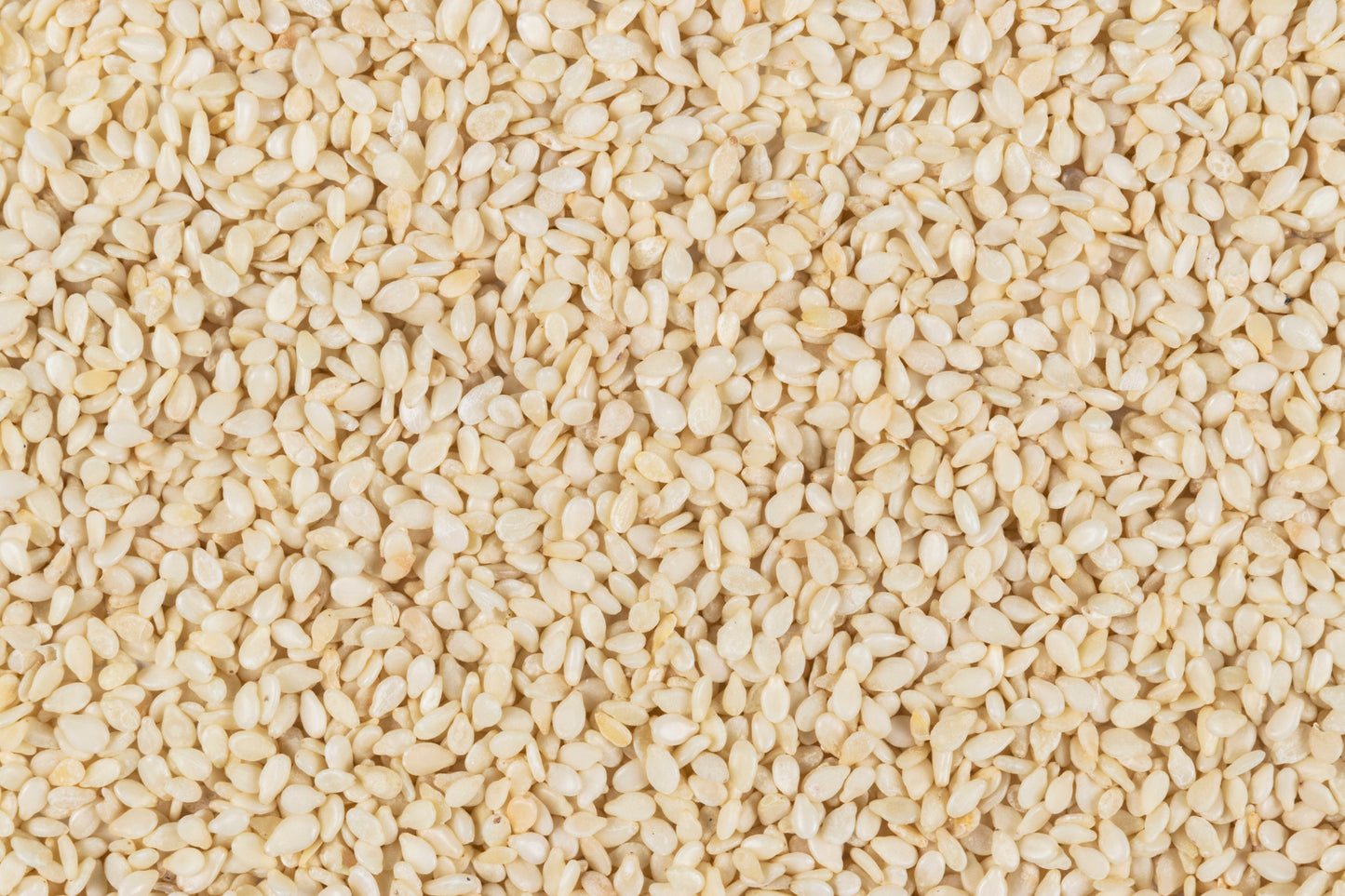 Mechanically Hulled Sesame Seed