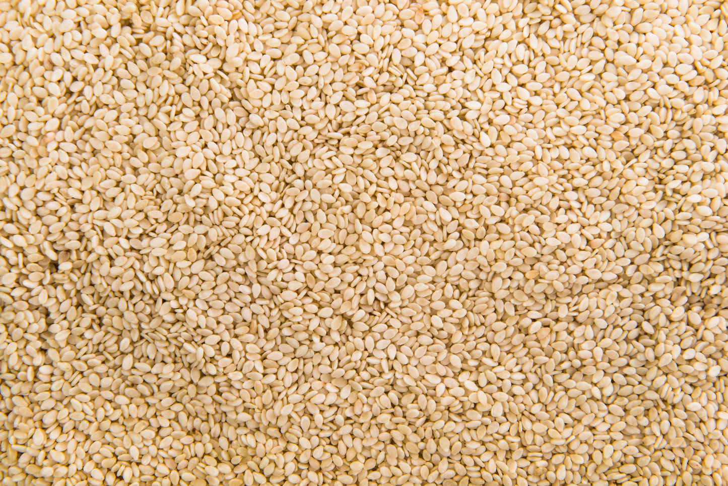 Organic Natural Sesame Seed