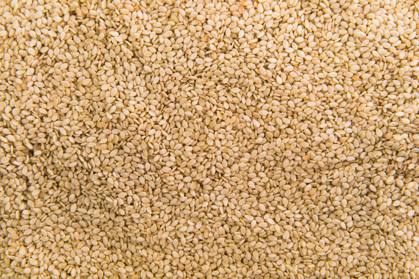 Toasted Natural Sesame Seed